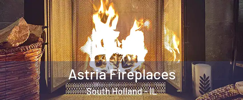  Astria Fireplaces South Holland - IL
