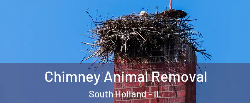  Chimney Animal Removal South Holland - IL