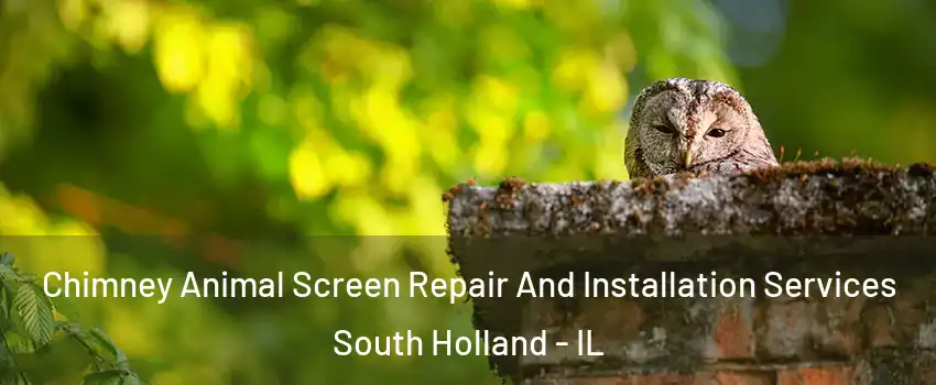 Chimney Animal Screen Repair And Installation Services South Holland - IL
