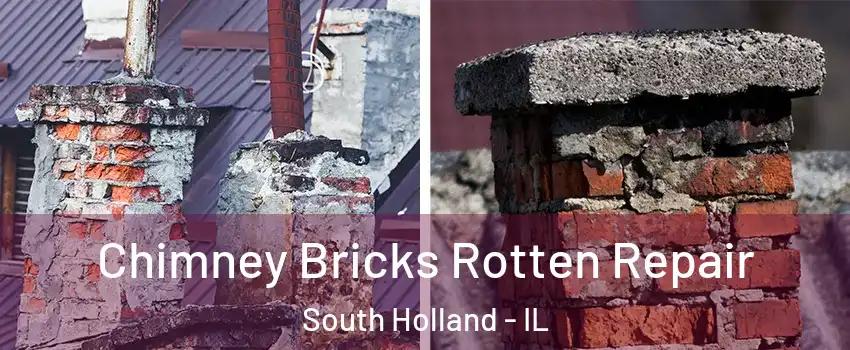  Chimney Bricks Rotten Repair South Holland - IL
