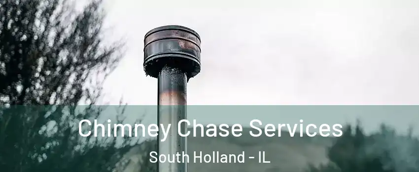  Chimney Chase Services South Holland - IL