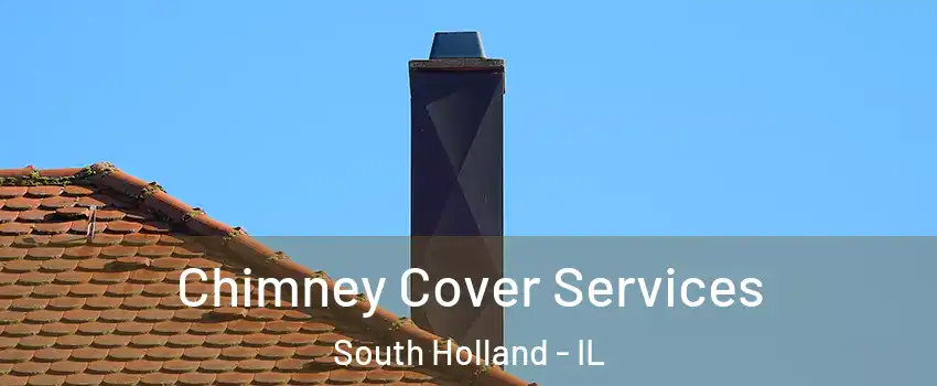  Chimney Cover Services South Holland - IL