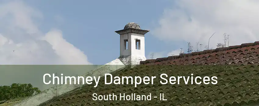  Chimney Damper Services South Holland - IL
