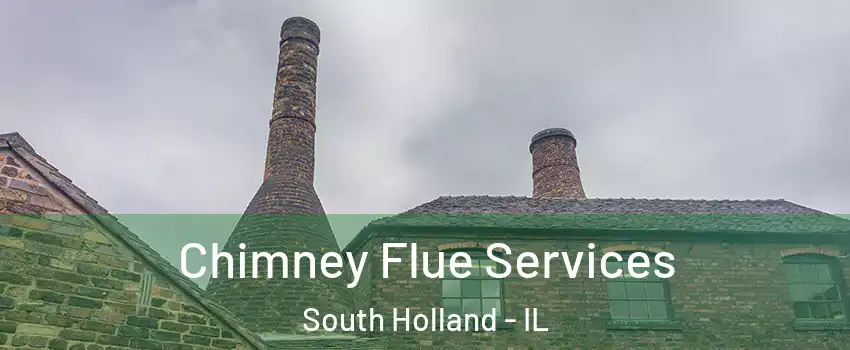  Chimney Flue Services South Holland - IL