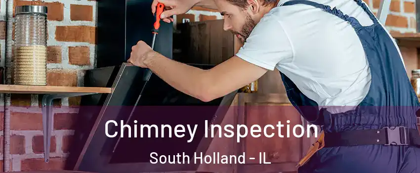  Chimney Inspection South Holland - IL