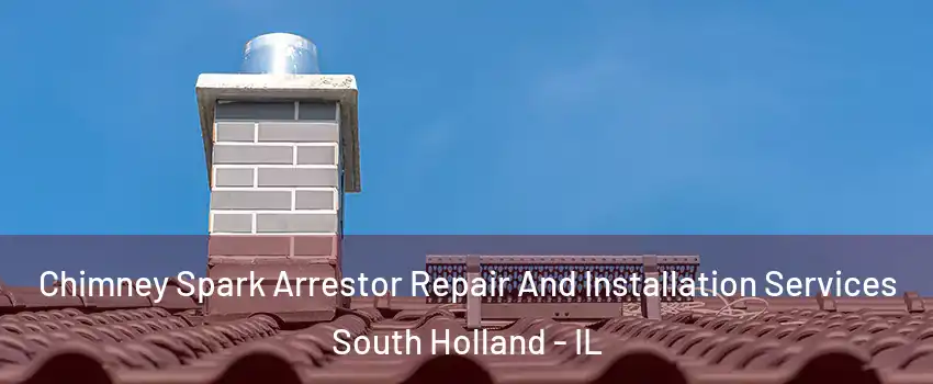  Chimney Spark Arrestor Repair And Installation Services South Holland - IL