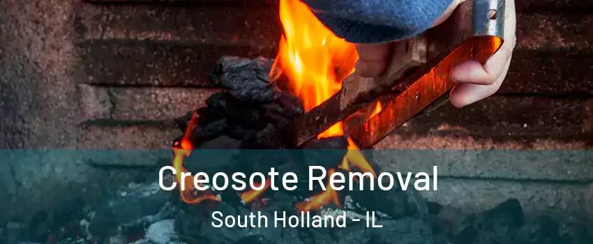  Creosote Removal South Holland - IL