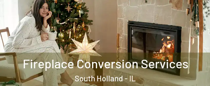  Fireplace Conversion Services South Holland - IL