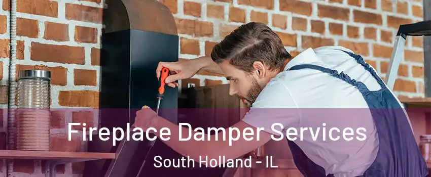  Fireplace Damper Services South Holland - IL