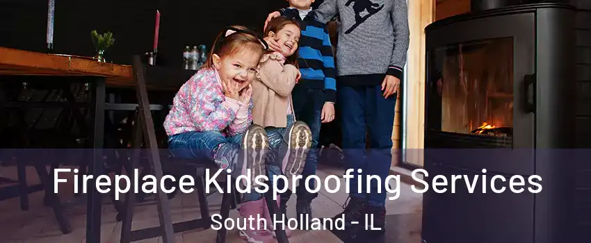  Fireplace Kidsproofing Services South Holland - IL