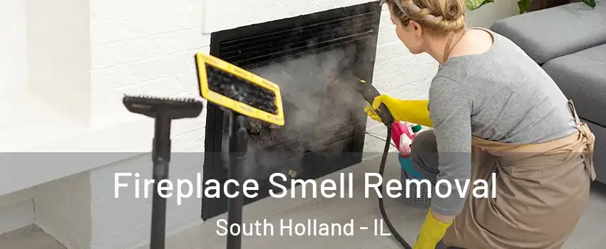  Fireplace Smell Removal South Holland - IL