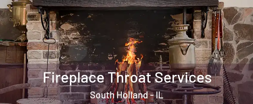  Fireplace Throat Services South Holland - IL