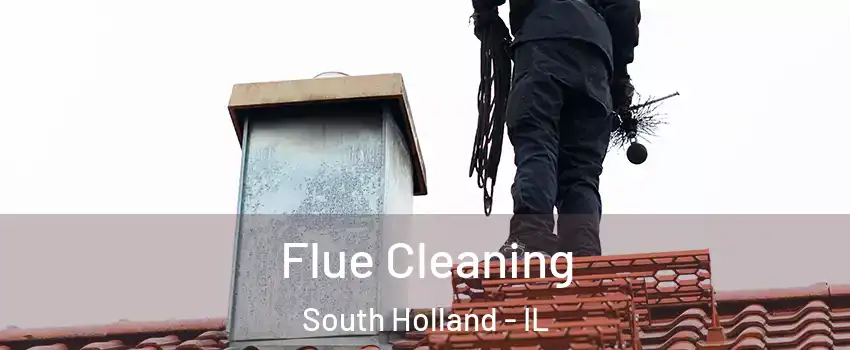  Flue Cleaning South Holland - IL