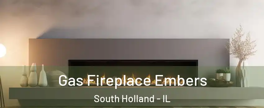  Gas Fireplace Embers South Holland - IL