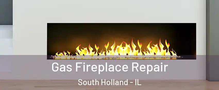  Gas Fireplace Repair South Holland - IL