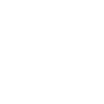 Professional Chimney Flue Installation in South Holland, Illinois