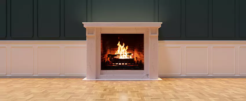 Napoleon Electric Fireplaces Inspection Service in South Holland, Illinois