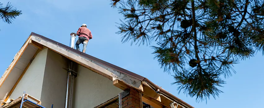 Birds Removal Contractors from Chimney in South Holland, IL