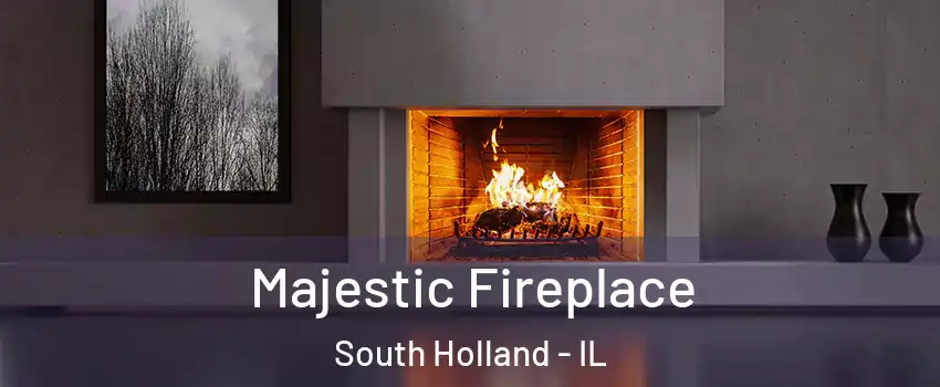  Majestic Fireplace South Holland - IL