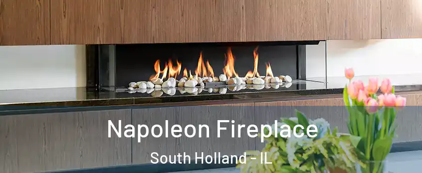  Napoleon Fireplace South Holland - IL