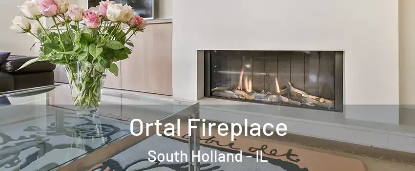  Ortal Fireplace South Holland - IL