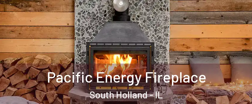  Pacific Energy Fireplace South Holland - IL